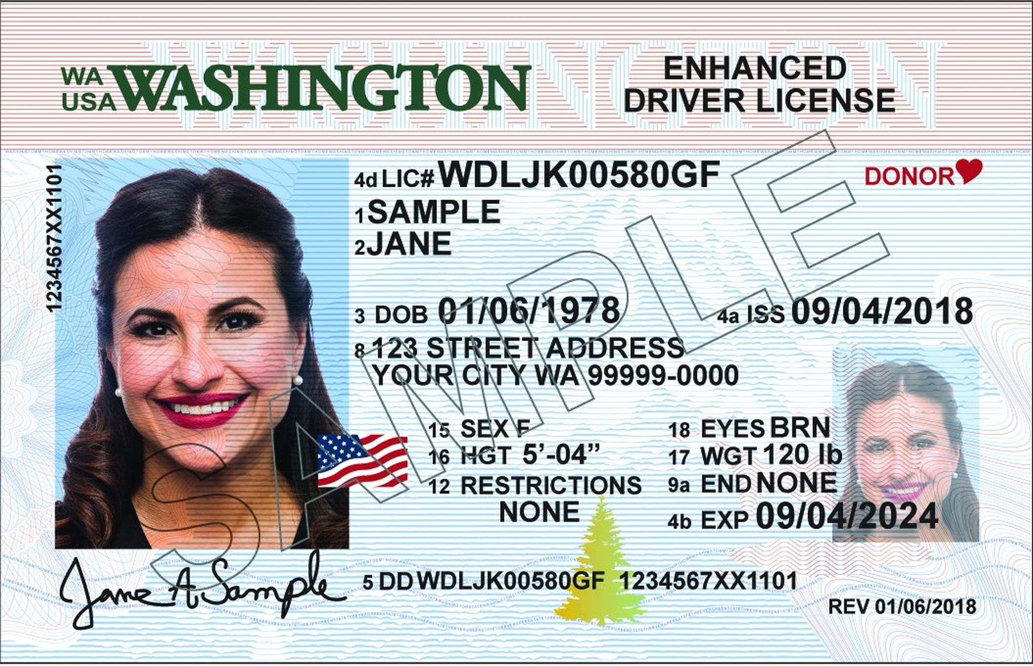 How Much is a License in Washington