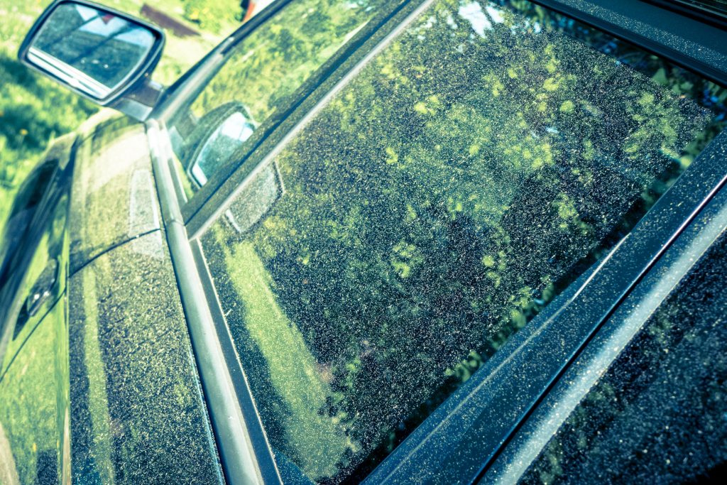How to Keep Pollen off Your Car